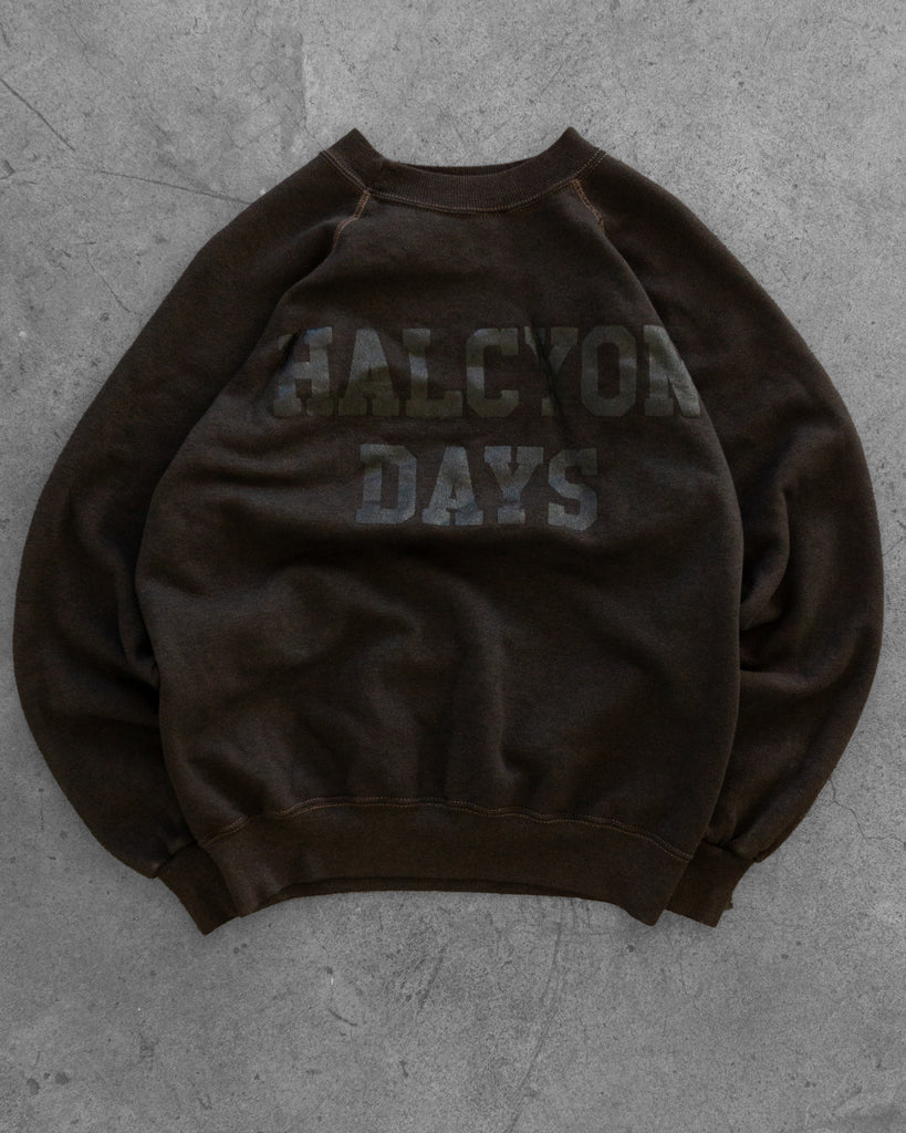 "Halcyon Days" Overdyed Raglan Sweatshirt - 1990s back photo