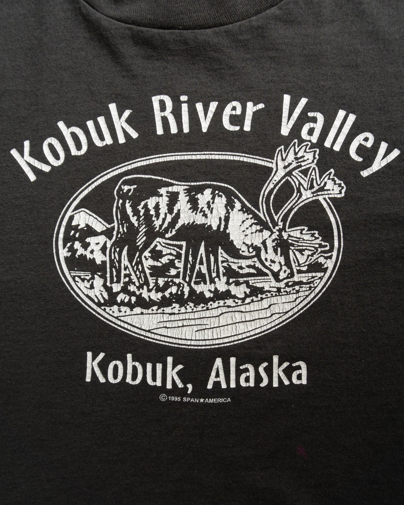 Single Stitched Faded "Kobuk River Valley" Tee - 1990s DETAIL PHOTO