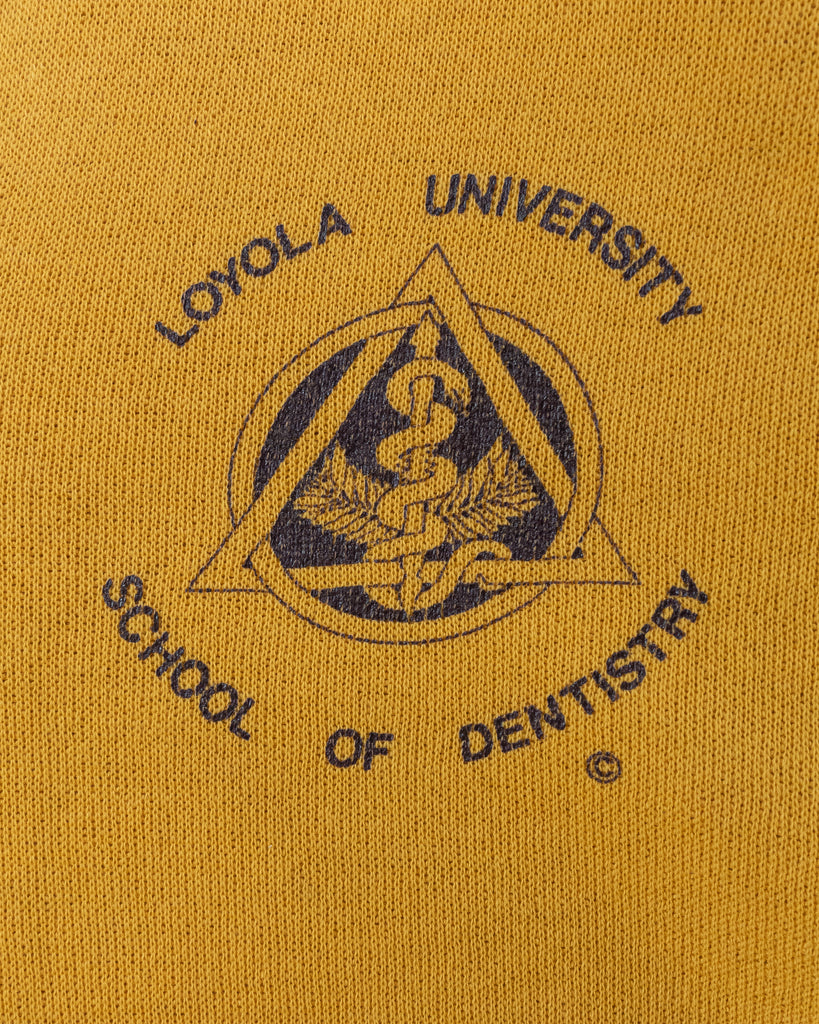"Loyola University School Of Dentistry" Hooded Raglan Sweatshirt - 1970s - Detail